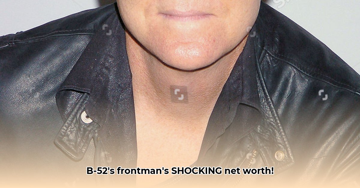 fred-schneider-net-worth